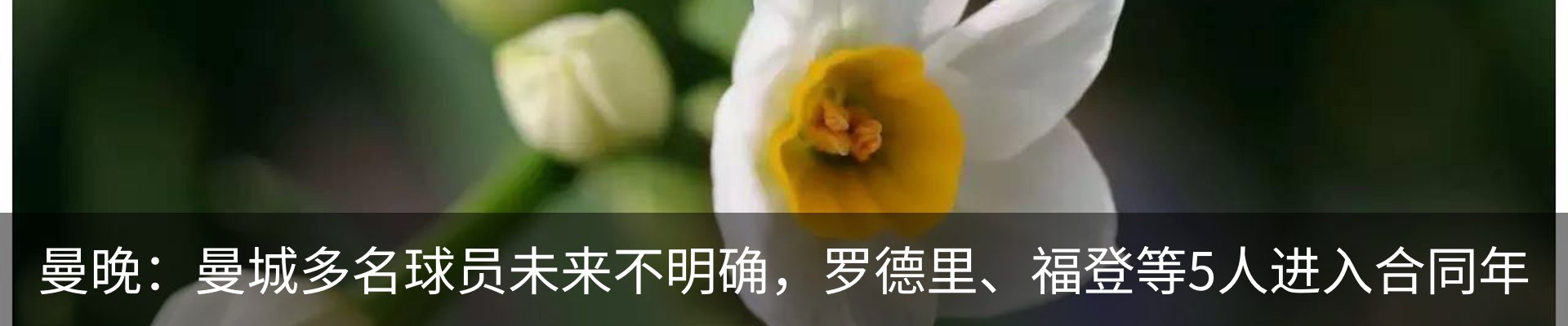 资讯动态