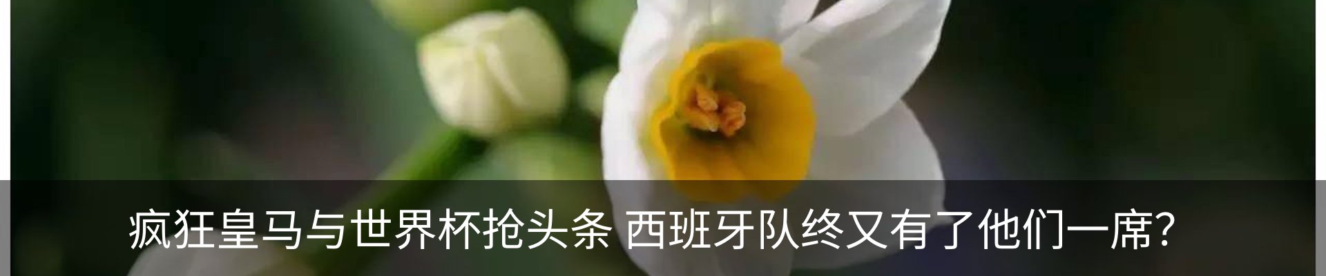 资讯动态