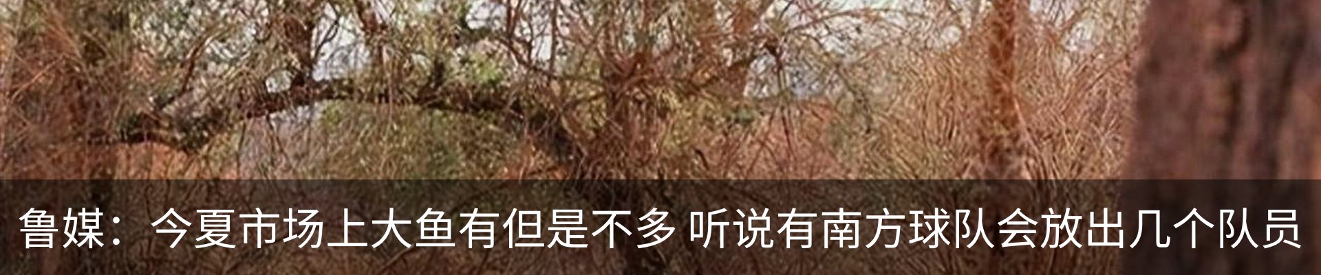 资讯动态